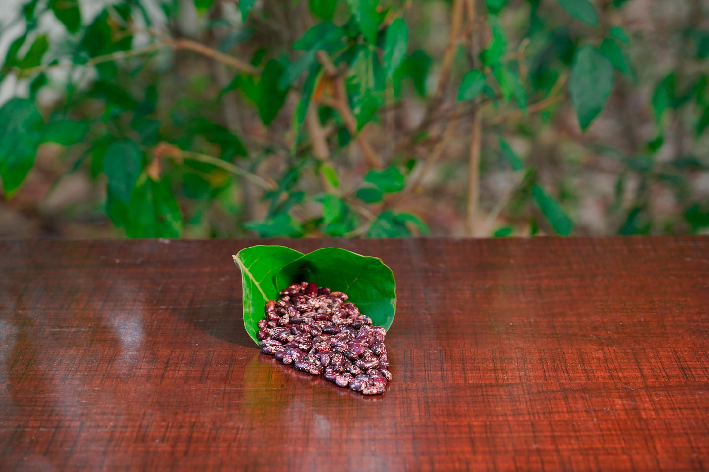 Joshimath Rajma (Kidney bean) (500g)