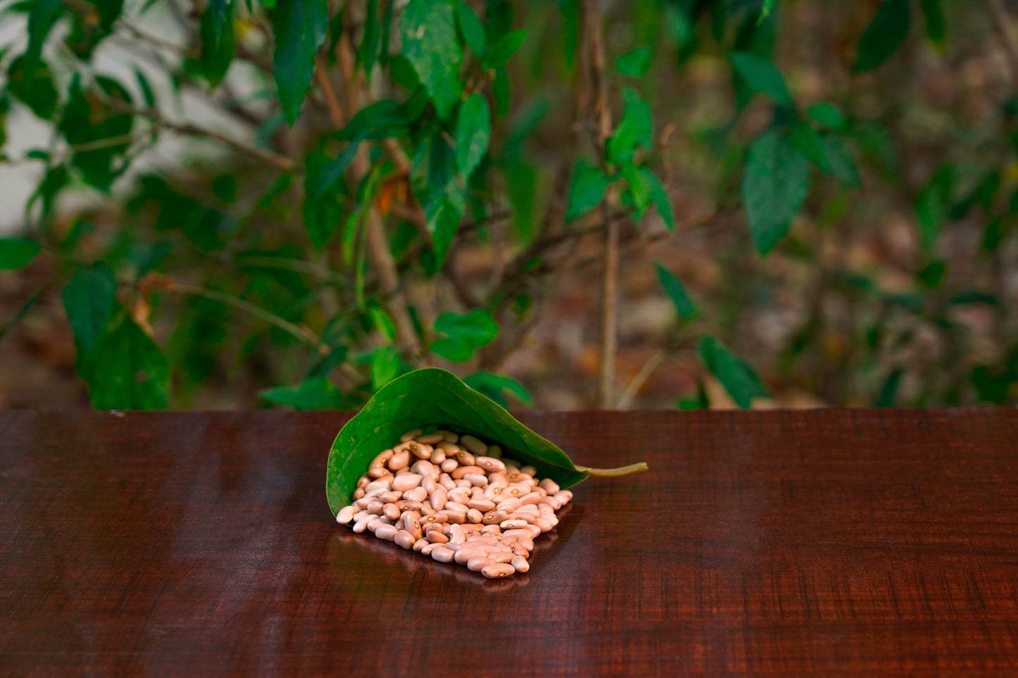 Himalayan Munsyari Rajma (Kindney bean) (500g)