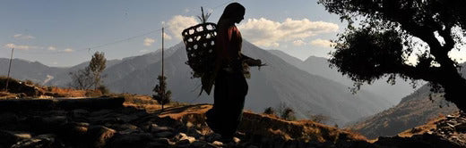 Empowering Women Farmers in Uttarakhand