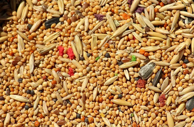 Millet Snacks